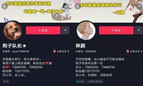 抖音最火的前十位主播(抖音最受欢迎的10位网红)插图4