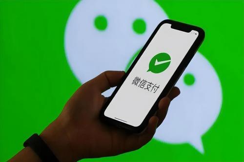 国内十大第三方支付平台(第三方支付有哪些品牌)插图2