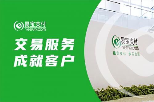 国内十大第三方支付平台(第三方支付有哪些品牌)插图4
