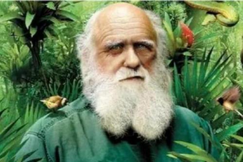 世界十大名人排行(世界十大知名度的名人)插图8