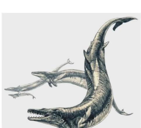 十大史前深海怪物(最恐怖的十大史前海怪)插图6