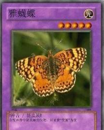 网民恶搞十大圣兽有那些(当年网络流传的十大神兽)插图7