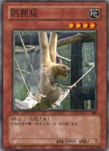 网民恶搞十大圣兽有那些(当年网络流传的十大神兽)插图9