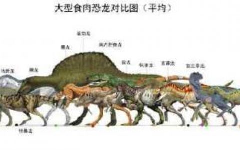 世界上最大的10种食肉恐龙(地球上十大食肉恐龙排行)