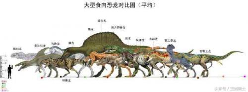世界上最大的10种食肉恐龙(地球上十大食肉恐龙排行)插图12