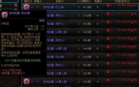 dnf宠物怎么获得(DNF最全面宠物获取指南)