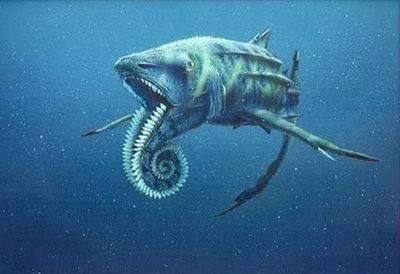 现代海洋十大霸主排名(海洋霸主前10排名)插图6