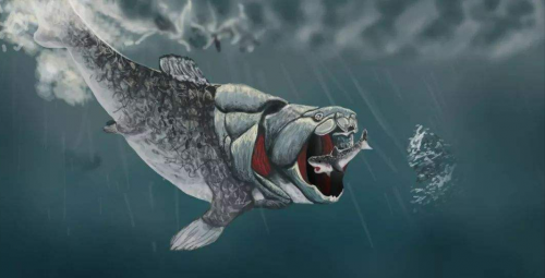 现代海洋十大霸主排名(海洋霸主前10排名)插图17