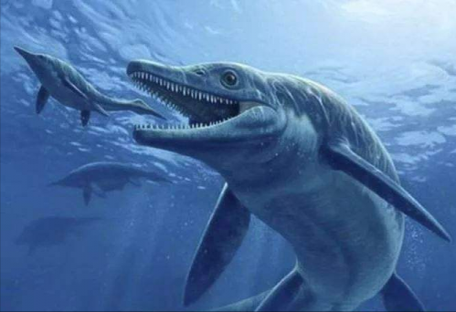 现代海洋十大霸主排名(海洋霸主前10排名)插图19
