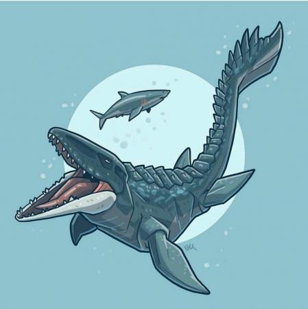现代海洋十大霸主排名(海洋霸主前10排名)插图22