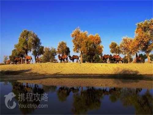 中国沙漠排名前十名排行榜(全国排名前十的沙漠)插图