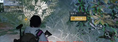 黎明觉醒兔耳朵怎么获得(黎明觉醒兔子耳朵获取方法介绍)插图7