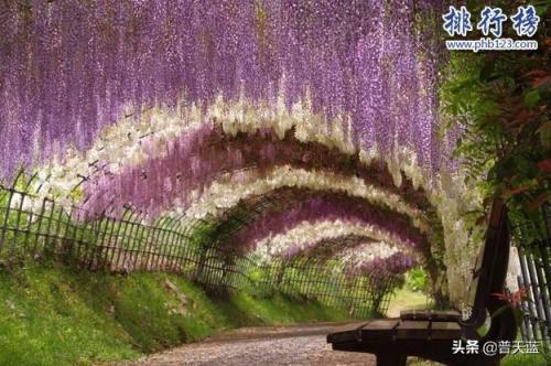 世界十大著名景点排行榜(全球十大著名旅游胜地)插图6