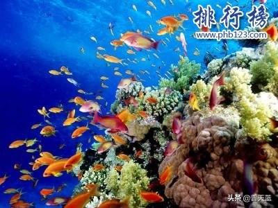 世界十大著名景点排行榜(全球十大著名旅游胜地)插图7