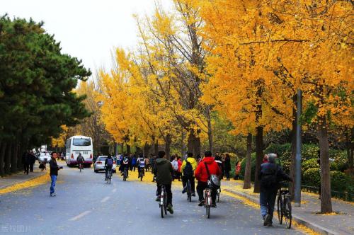 世界名牌大学前10名(世界前10名大学排名)插图