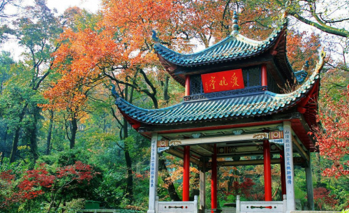 中国面积最大的省排名前十名(中国面积最大的十个省份)插图6