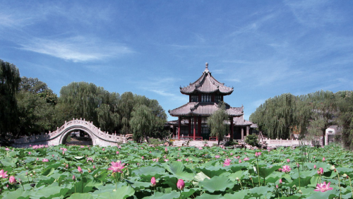 中国面积最大的省排名前十名(中国面积最大的十个省份)插图8