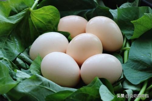 十大高蛋白食物排行榜(优质蛋白十佳食物排行)插图1
