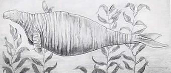 地球远古十大灭绝动物排行榜(10大已灭绝的巨型古生物)插图3
