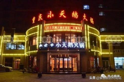 全国连锁火锅店10强(中国最出名的十大火锅店排名榜)插图6