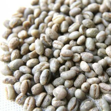 咖啡豆排行榜前十名(十大阿拉比卡品种的咖啡豆)插图
