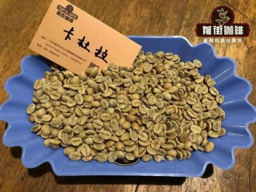 咖啡豆排行榜前十名(十大阿拉比卡品种的咖啡豆)插图2