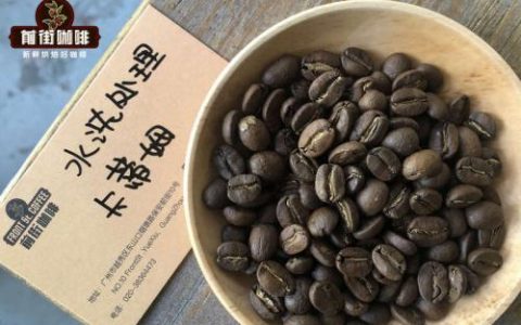 咖啡豆排行榜前十名(十大阿拉比卡品种的咖啡豆)