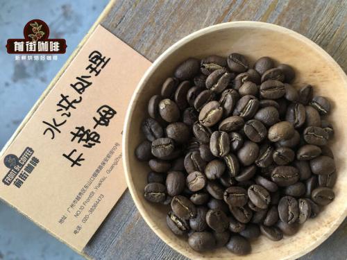 咖啡豆排行榜前十名(十大阿拉比卡品种的咖啡豆)插图3