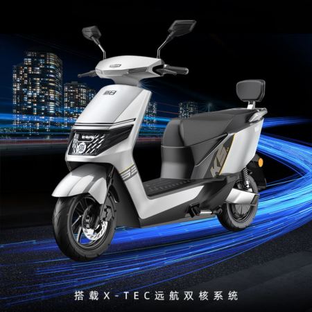 中国电动车排行榜前十(十大电动摩托车品牌)插图6