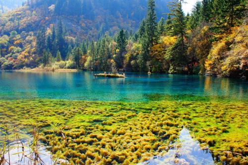 十一月份国内最佳旅游地方排名(国内11月份适合去哪里旅游)插图2