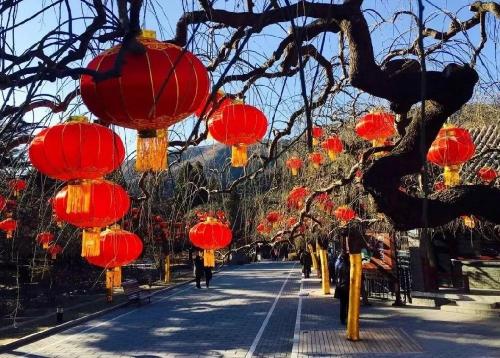 十一月份国内最佳旅游地方排名(国内11月份适合去哪里旅游)插图3