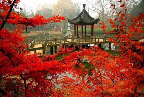 十月份国内最佳旅游地方排名(10月旅游十大最佳去处)插图5