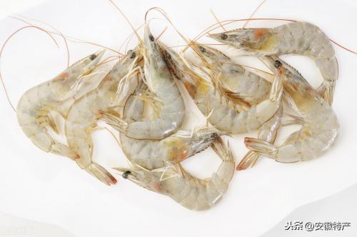 安徽十大特产排行榜(安徽十大湖鲜特产)插图1