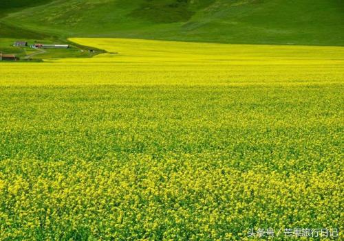 七月份国内最佳旅游地方排名(七月国内十大最美景点)插图4