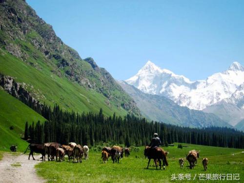 七月份国内最佳旅游地方排名(七月国内十大最美景点)插图10