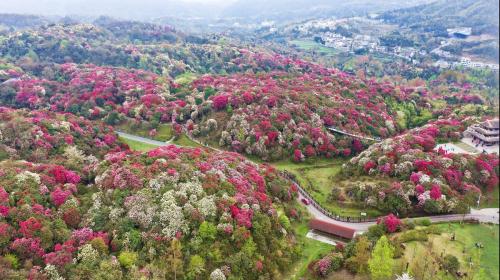 四月份国内最佳旅游地方排名(适合四月旅行的10个绝美之地)插图