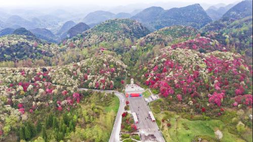 四月份国内最佳旅游地方排名(适合四月旅行的10个绝美之地)插图1