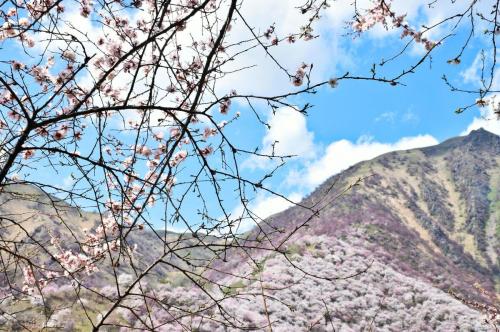四月份国内最佳旅游地方排名(适合四月旅行的10个绝美之地)插图2