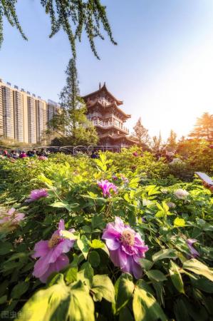 四月份国内最佳旅游地方排名(适合四月旅行的10个绝美之地)插图4