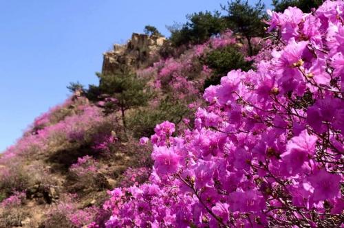 四月份国内最佳旅游地方排名(适合四月旅行的10个绝美之地)插图13