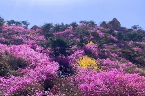 四月份国内最佳旅游地方排名(适合四月旅行的10个绝美之地)插图14