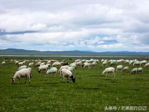 七月份国内最佳旅游地方排名(7月最佳避暑旅行地TOP10)插图11