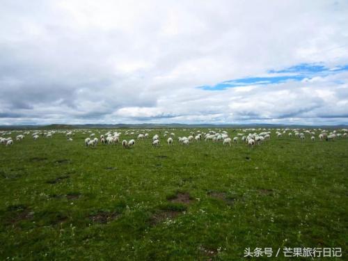 七月份国内最佳旅游地方排名(7月最佳避暑旅行地TOP10)插图12