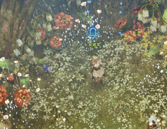 命运方舟妮娜芙在哪(命运方舟妮芙娜在哪里)插图3