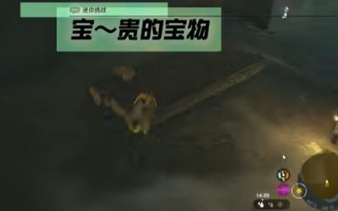 王国之泪宝贵的宝物通关攻略(王国之泪宝贵的宝物支线)