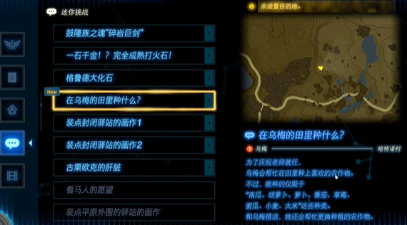 王国之泪在乌梅的田里种什么攻略(王国之泪种菜攻略)插图4