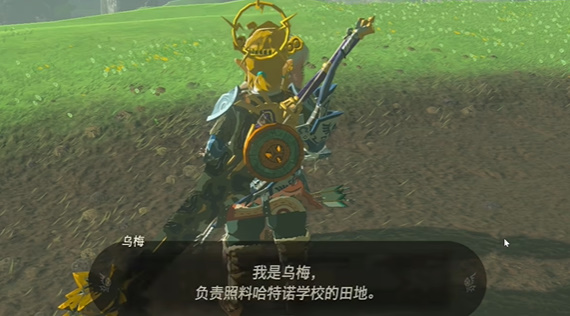 王国之泪在乌梅的田里种什么攻略(王国之泪种菜攻略)插图2
