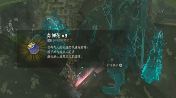 王国之泪我们的宝物攻略(王国之泪宝藏攻略)插图6