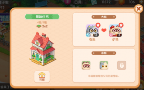 遇见喵克斯怎么生小猫(遇见喵克斯出生的小猫)
