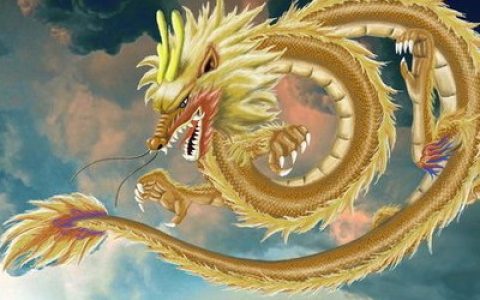 龙神阵容推荐搭配图鉴大全(神龙冈布奥阵容搭配)